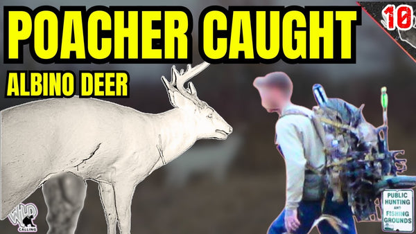 I CAUGHT A POACHER - ALBINO DEER POACHED - POLICE INVESTIGATION